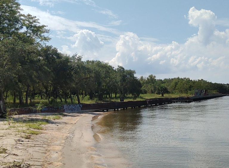 Lincoln Beach. Trees meet Lake Pontchartrain with a thin beach in between.